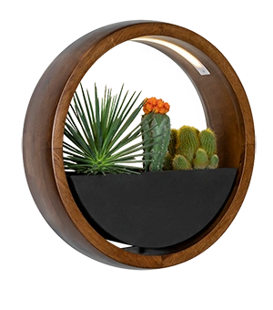 حلقه دیواری عمودی