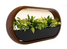بیضی دیواری افقی