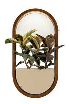 بیضی دیواری عمودی