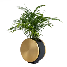 یورول دیواری