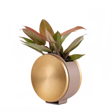 یورول دیواری