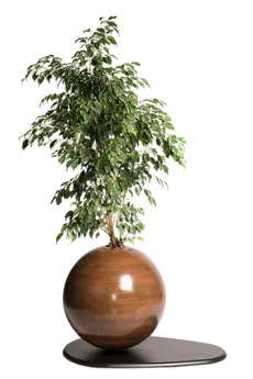 کره چوبی بزرگ